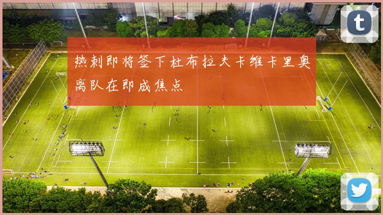 热刺即将签下杜布拉夫卡维卡里奥离队在即成焦点