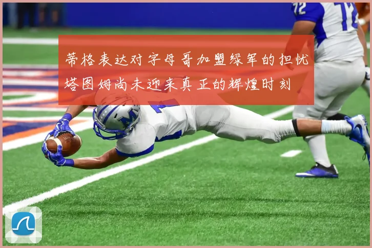 蒂格表达对字母哥加盟绿军的担忧塔图姆尚未迎来真正的辉煌时刻